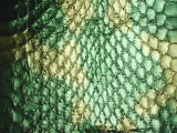 2. グリーン×ゴールド　水蛇皮